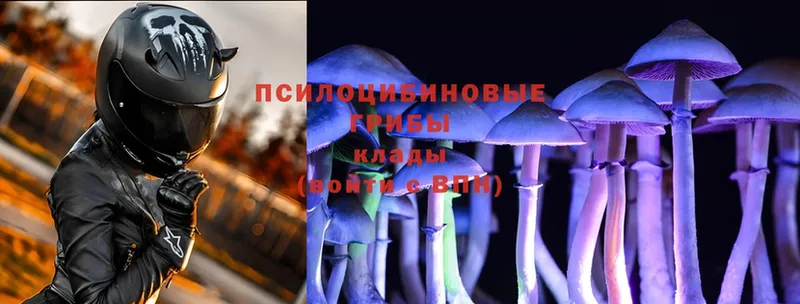 hydra как зайти  Полярный  Галлюциногенные грибы Magic Shrooms 